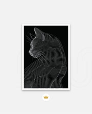 Linea Feline