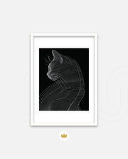 Linea Feline