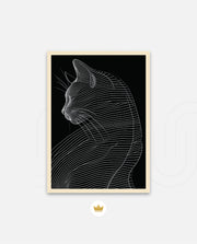 Linea Feline