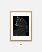 Linea Feline