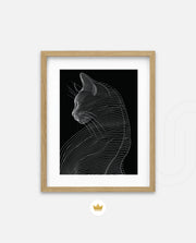 Linea Feline