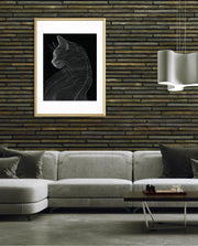 Linea Feline