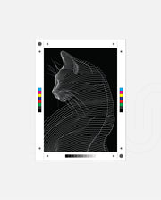 Linea Feline