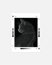 Linea Feline