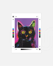 Neon Gaze