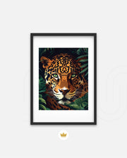 Jungle Glare