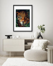 Jungle Glare