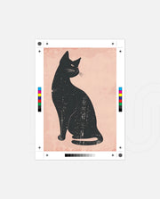 Noir Cat