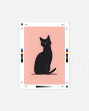 Ink Cat