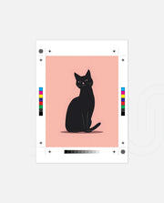 Ink Cat
