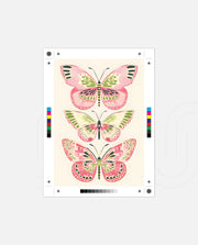 Pink Wings
