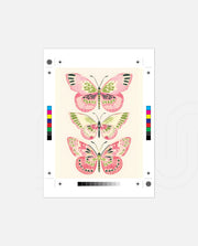 Pink Wings