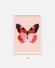 Scarlet Wing