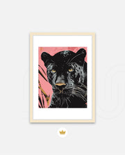Midnight Panther Gaze