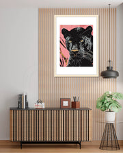 Midnight Panther Gaze