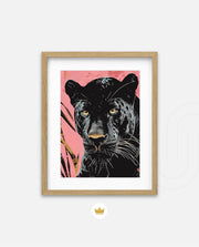 Midnight Panther Gaze