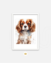 Cavalier Companion