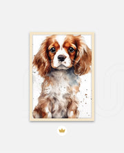Cavalier Companion