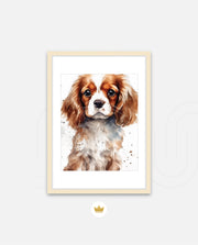 Cavalier Companion