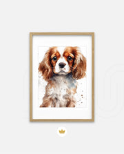 Cavalier Companion