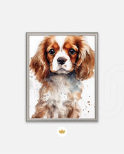 Cavalier Companion