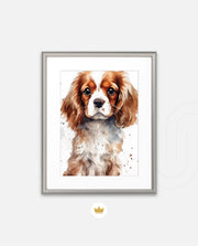 Cavalier Companion