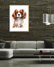 Cavalier Companion