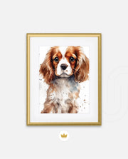 Cavalier Companion