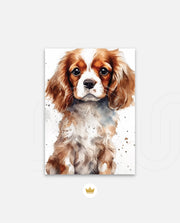 Cavalier Companion