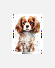 Cavalier Companion