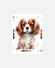 Cavalier Companion