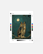 Moonlit Forest Guardian