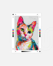 Colorful Palette Kitten