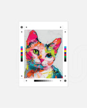 Colorful Palette Kitten