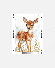 Baby Fawn Watercolor