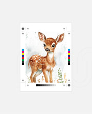 Baby Fawn Watercolor