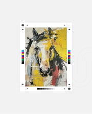 Abstract Equine Essence