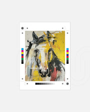Abstract Equine Essence