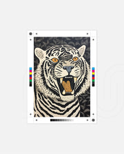 White Tiger Roar