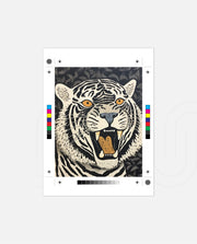 White Tiger Roar