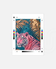 Pink Gilded Tiger