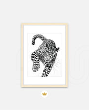 Leaping Leopard Monochrome