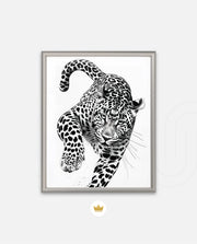 Leaping Leopard Monochrome