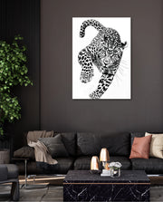 Leaping Leopard Monochrome
