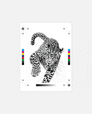 Leaping Leopard Monochrome