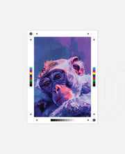 Monkey in Neon Dreams