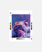 Monkey in Neon Dreams