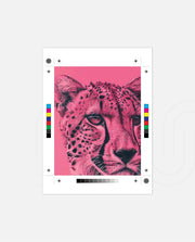 Pink Cheetah Pop Portrait