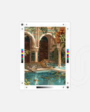 Leopard Oasis Retreat