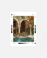 Leopard Oasis Retreat